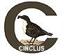 To the Cinclus C Sportfishing guide