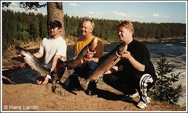 F&aring;ngst fr&aring;n Kalix&auml;lven vid Jockfall