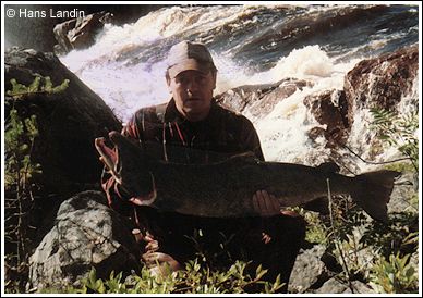 F&aring;ngst fr&aring;n Kalix&auml;lven vid Jockfall