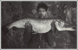 G&auml;dda fr&aring;n G&ouml;ta &auml;lv 1984