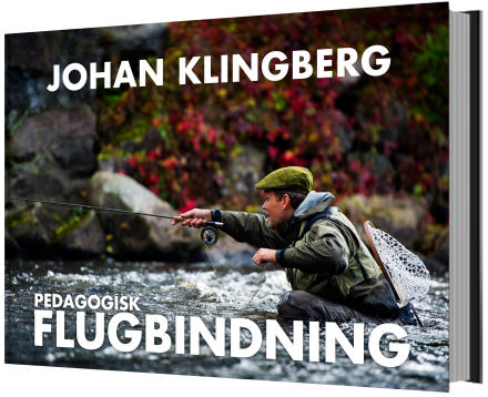 Pedagogisk Flugbindning