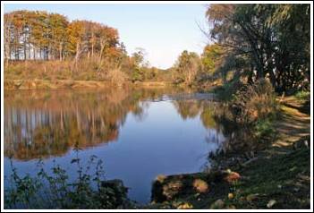 Sirek&ouml;pinge Sportfiske