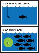 BrightBait det ultimata fiskbetet!