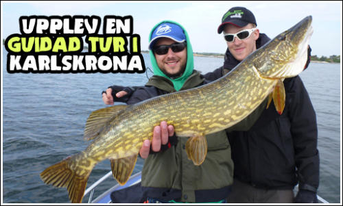 Camp Dragsö Sportfishing, Experience guided pike fishing with our guides
