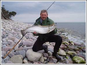 Havs&ouml;ring fr&aring;n &Ouml;land