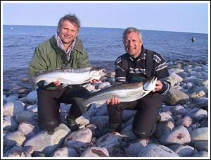 Havs&ouml;ring fr&aring;n &Ouml;land