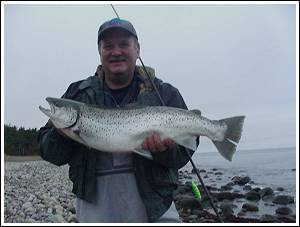 Havs&ouml;ring fr&aring;n &Ouml;land