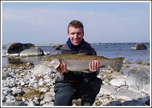 Havs&ouml;ring fr&aring;n &Ouml;land