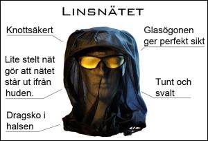 Linsn&auml;tet