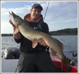 Fishing Exclusive, fishing guide service in Hälsingland, Sweden