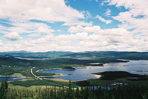 T&auml;nn&auml;skr&ouml;ket, harrfiske