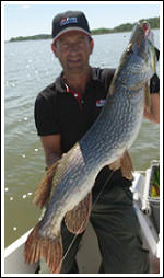 Fishing Guide Tomas Henriksson with big pike