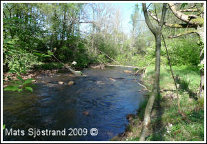 B&auml;ljane&aring; vid Vedby