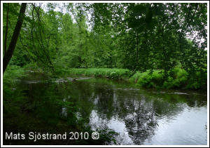 B&auml;ljane&aring; vid Elfdalen