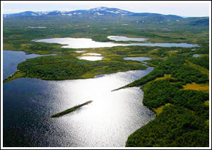 Anasj&ouml;, Anariset