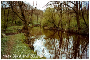 Strax uppstr&ouml;ms v&auml;g 13, av Mats Sj&ouml;strand 2002