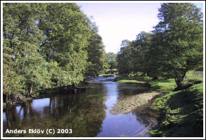 Bj&ouml;rka&aring;n, av Anders Ekl&ouml;v