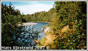 Damm&aring;n downstream power plant at &Aring;nn