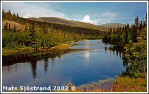 Damm&aring;n at H&ouml;glekardalen