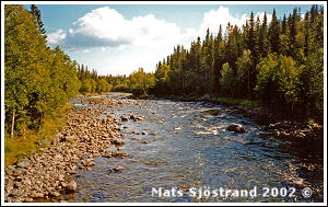 River Damm&aring;n at Bydalen