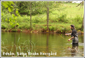 Flugfiske i Eds&aring;n