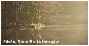 Dr&ouml;mlik milj&ouml; vid Eds&aring;n