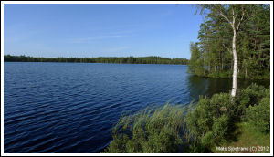 Ljungsj&ouml;n inom V&auml;nne&aring;ns FVO