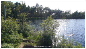 Ljungsj&ouml;n inom V&auml;nne&aring;ns FVO