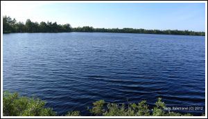 Ljungsj&ouml;n inom V&auml;nne&aring;ns FVO