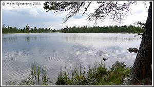 R&auml;nningarna (R&auml;ndingarna)