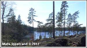 Vy &ouml;ver &Ouml;rsj&ouml;n