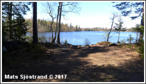 Vid B&ouml;k&ouml;n i &Ouml;rsj&ouml;n