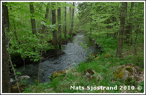 Str&auml;cka nedanf&ouml;r &Aring;nhult, &Ouml;rkelljunga