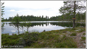 Pusttj&auml;rn