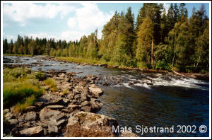 S&ouml;lvbacka stream 2002, by Mats Sj&ouml;strand 2002 &copy;