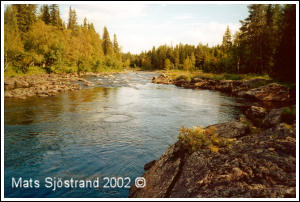 S&ouml;lvbacka stream 2002, by Mats Sj&ouml;strand 2002 &copy;