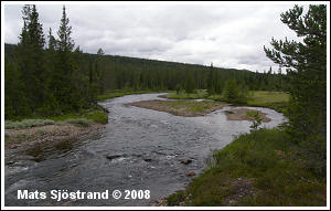 River Stor&aring;n, from stretch upstream lake H&auml;llsj&ouml;n