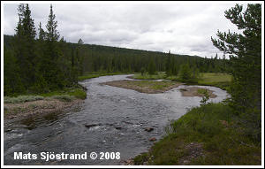 River Storån, from stretch upstream lake Hällsjön