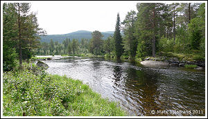 T&auml;nn&aring;n, Str&auml;cka p&aring; N&auml;ttan Skog & Fritid