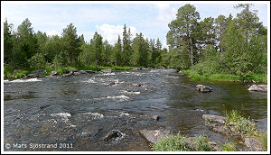T&auml;nn&aring;n, Str&auml;cka p&aring; N&auml;ttan Skog & Fritid