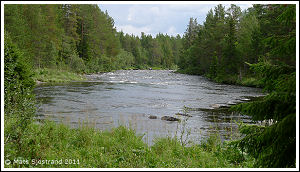T&auml;nn&aring;n, Str&auml;cka inom T&auml;nn&auml;s FO