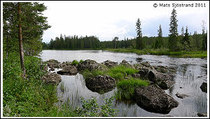 T&auml;nn&aring;n, Str&auml;cka inom T&auml;nn&auml;s FO