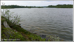V&auml;stra Abborrvikarna