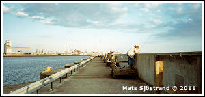 Fiske vid V&auml;sthamnen i Helsingborg