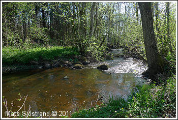 Vege&aring;n vid Knutstorp