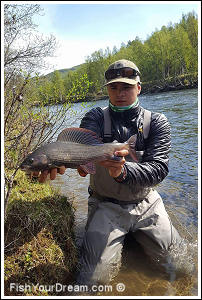 Fiske vid Ammarnäs