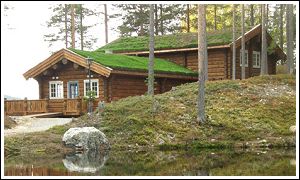 Fjällripan Lodge