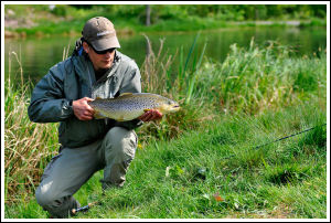 Fin &ouml;ring fr&aring;n Norrbystr&ouml;mmen
